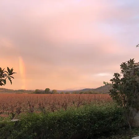 Ferienwohnung La Rose Des Vins Pouzolles Exterior foto