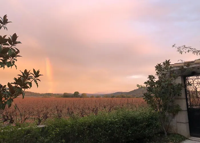 La Rose Des Vins